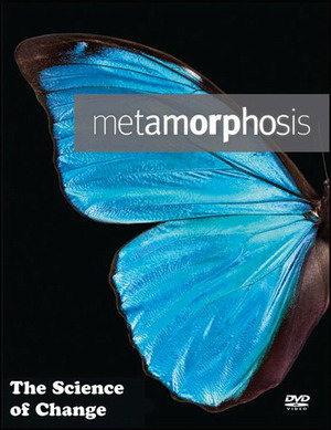 BBC: Искусство перевоплощения - метаморфоз / Metamorphosis. The Science of Change (2013)