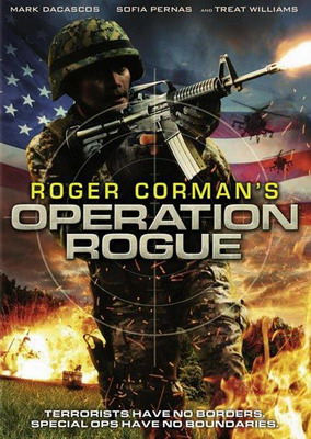 Операция Разбойник / Операция Возмездие / Operation Rogue (2014)
