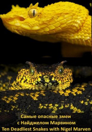 Самые опасные змеи с Найджелом Марвином / Ten Deadliest Snakes with Nigel Marven (2014)