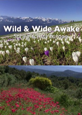 Пробуждение дикой природы - европейская весна / Wild & Wide Awake - Spring Across Europe (2015)
