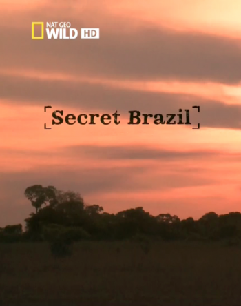 National Geographic. Неизвестная Бразилия Secret Brazil