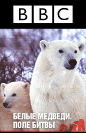BBC: Белые медведи. Поле битвы / BBC: Polar Bear Battlefield / (2008)