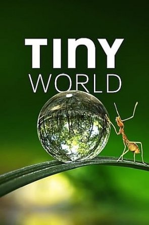 Крошечный мир / Tiny World (Сезон 1) (2020)