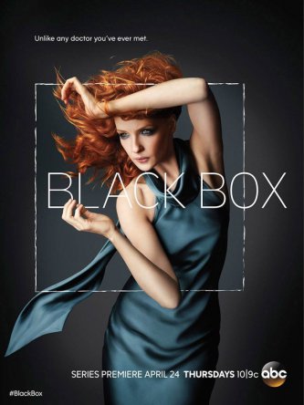 Черный ящик / Black Box (2014)