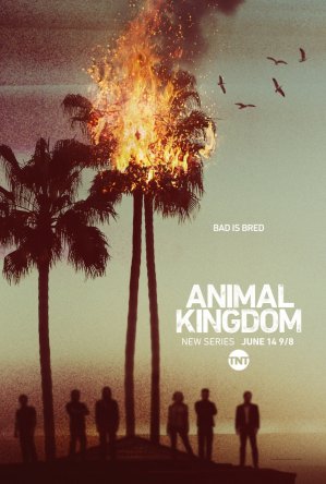    / Animal Kingdom ( 1-2) (2016-2017)