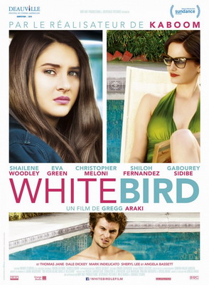     / White Bird in a Blizzard (2014)